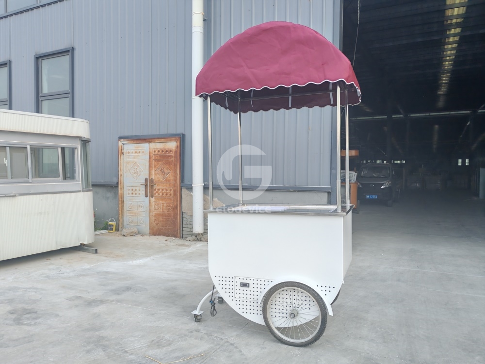Carrito de Mano Portátil para  - Street Fashion Vendors reseña y precio
